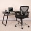 Aster Big & Tall 400 lb. Rated Mesh Swivel Ergonomic Task Office Chair