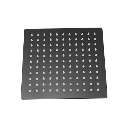 Rain Fixed Shower Head 2.0 GPM GPM