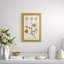 Weiman Ranunculous Framed