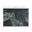 Meuble-lavabo mural 24 po avec lavabo en céramique et porte d'armoire à fermeture en douceur 24 po