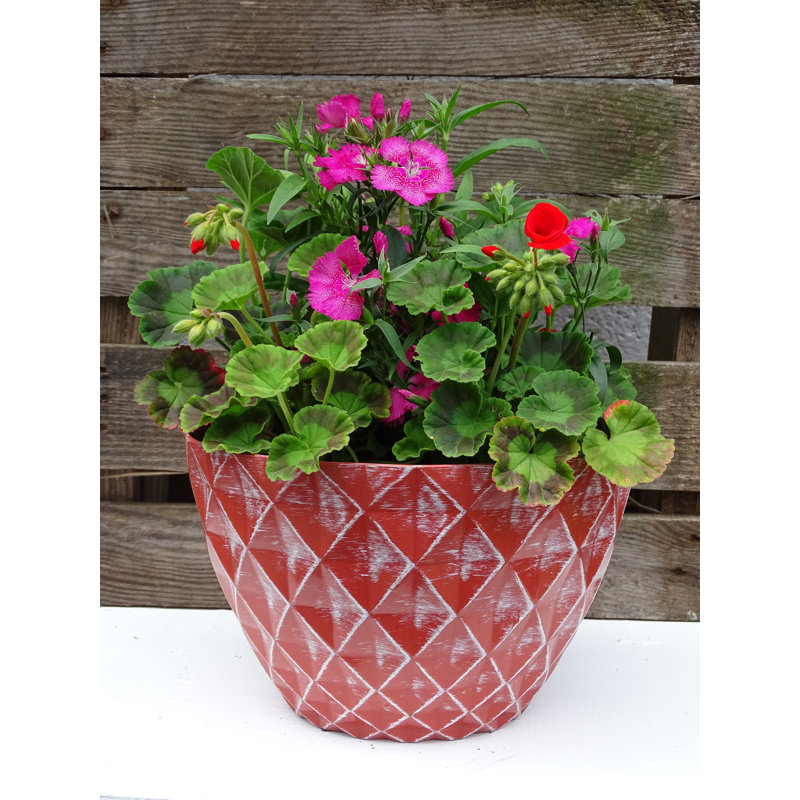 Vermehr Pot Planter, Terracotta/White, 20.5cm H x 33cm W x 33cm D