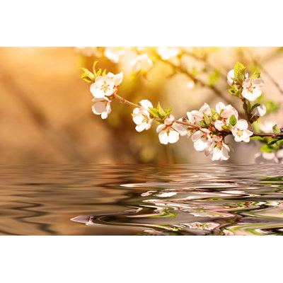 Flowering Cherry Tree Branch In Spring by Abigail210986 - Wrapped Canvas Print