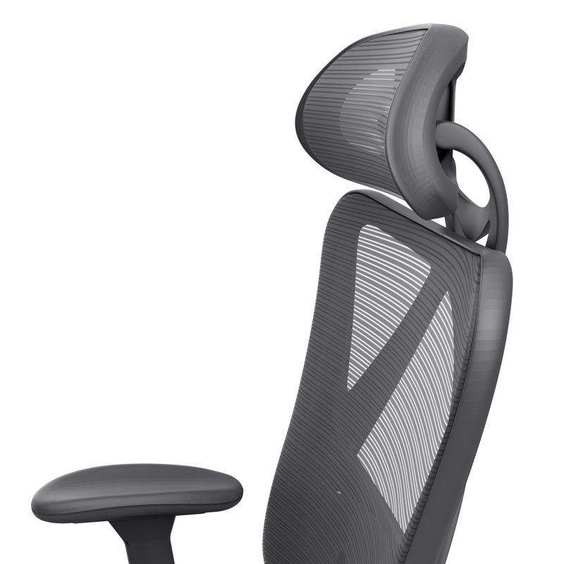 Benjamyn Mesh Task Chair with Headrest, Black