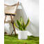 HDHPOT Ceramic Pot Planter