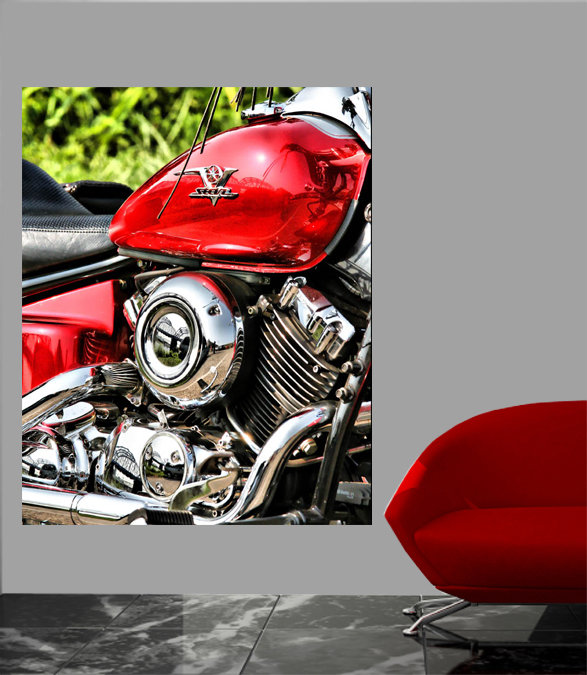 Adhésif décoratif Batie V Star, H 60 po x l 48 po