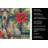 Xoloitzcuintli Christmas PoinsettIas Kitchen Towel-2080584095