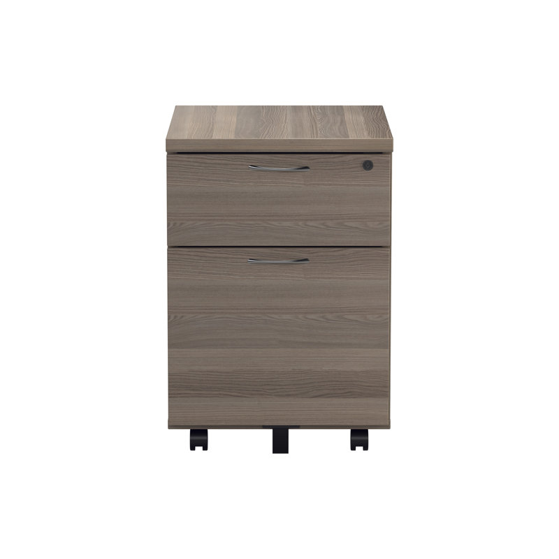 Buariki 40.4cm Wide 2 -Drawer Mobile File Cabinet, Grey Oak