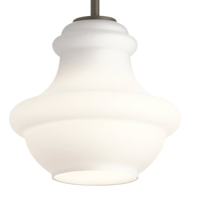 Luminaire suspendu simple à 1 lumière Fredericksburg