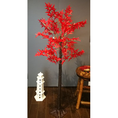 Arbre lumineux pour érable pré-éclairé japonais