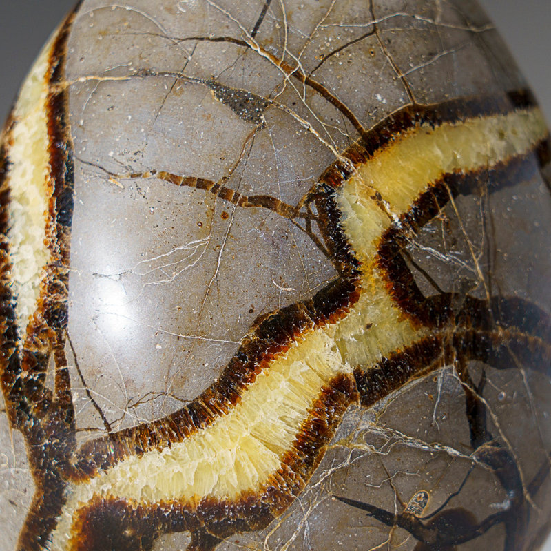 Polished Septarian Freeform From Madagascar (2.5 Lbs)