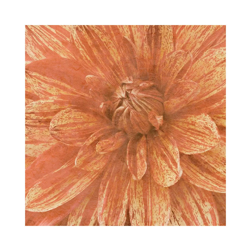 Wall Flower IX by Alonzo Saunders - Wrapped Canvas Painting, 30.48 cm H x 30.48 cm W