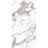 Porcelain Marble Look Wall & Floor Matte White Tile Calacatta Carrara 24'' x 48''