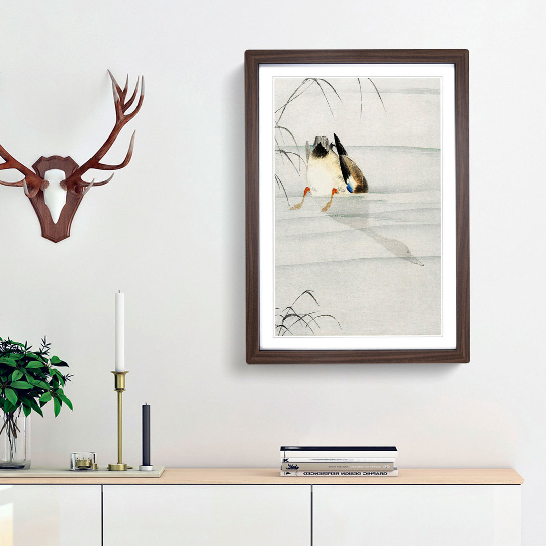 Mallard Duck Under Water by Ohara Koson - Framed Print