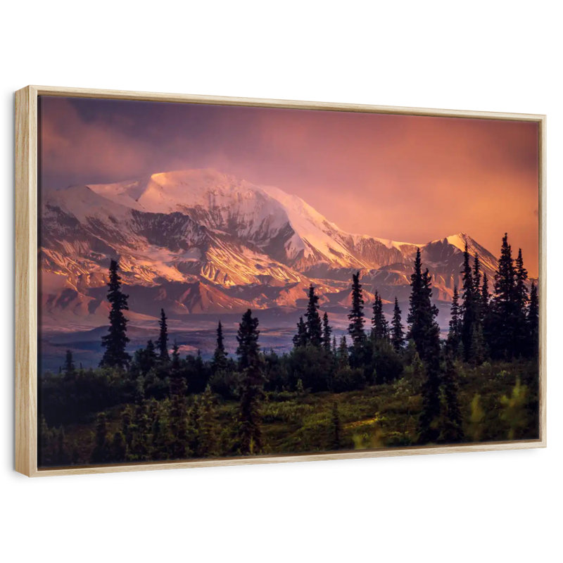 Denali et forêt Denali, Cadre flottant en bois naturel, 46 po x 31 po