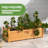 Pacen Planter Box