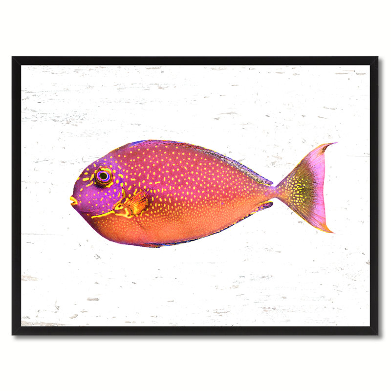Peinture de poisson tropical rose, 28 x 37
