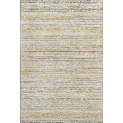 Premium Machine Washable Barry AMF1239 Stripes Rug