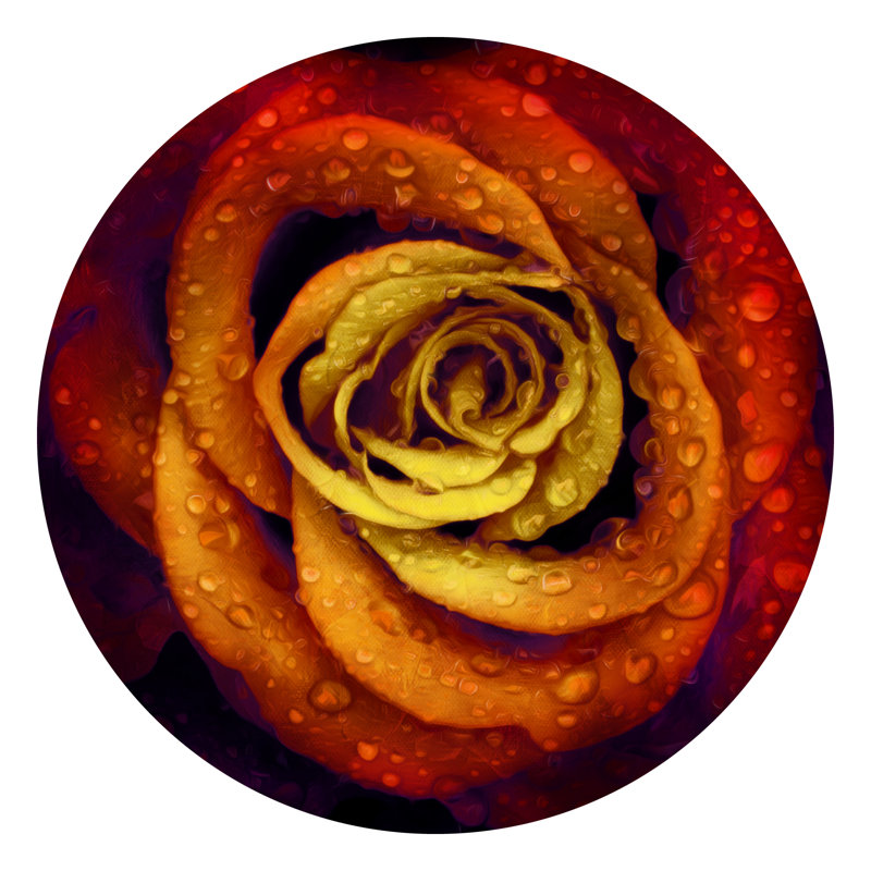 Décalcomanie murale rose mouillée brillante