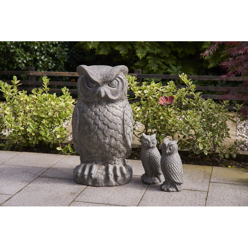 Large Owl