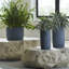 Harvest Medium Resin Pot Planter-49671629-49671630