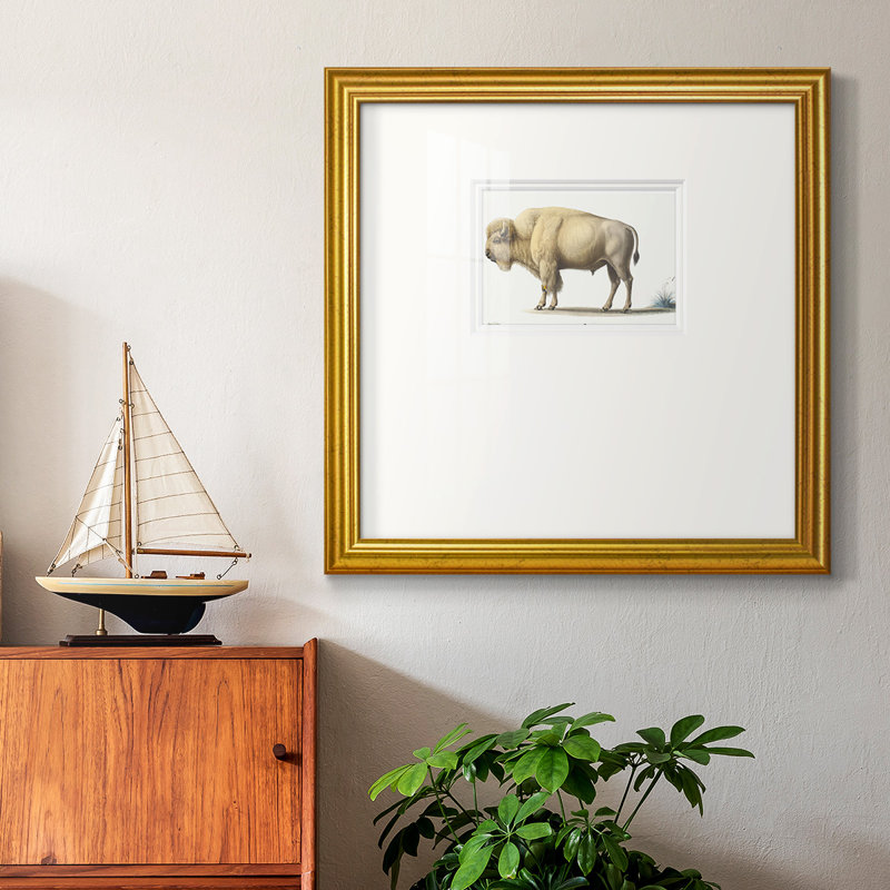 White Buffalo - impression d'un seul cadre photo, H 21 po x l 21 po x P 1,25 po