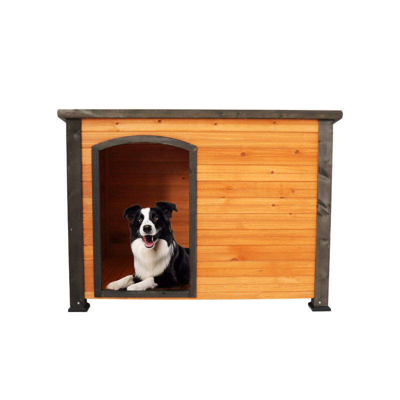 Grand chenil en bois massif 45 po pour l'extérieur et l'intérieur, résistant aux intempéries avec pieds surélevés pour l'hiver