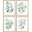 «Green Leaves Plants», impression sur papier 4 pièces-97782554-97782559
