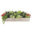 PLANT 27IN SUCCULENT ARRANGEMENT, GRAY POT-220848566