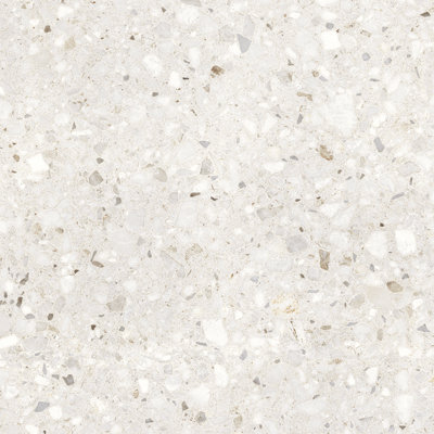 Forage 24" x 24" Matte Tile