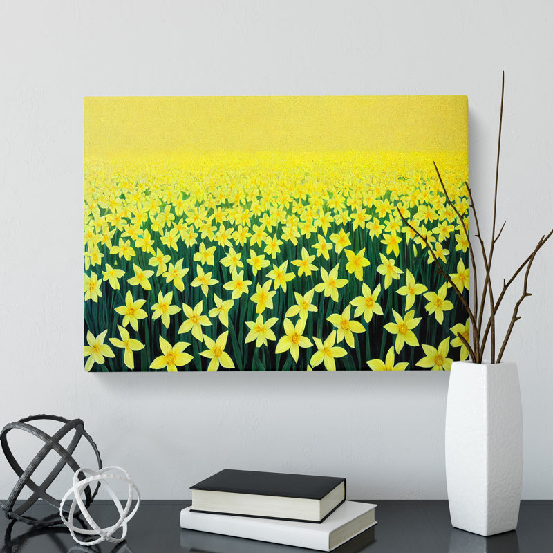Daffodil Field - Wrapped Canvas Print, 35cm H x 50cm W x 3cm D