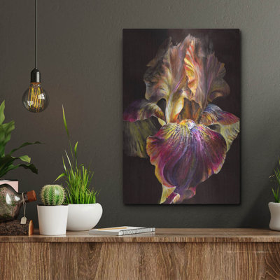 «Iris» par Photoinc Studio, art mural en métal, 24 po x 36 po