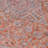 Machine Washable Indoor/Outdoor Claudian ACN1651 Orange Rug-104366036