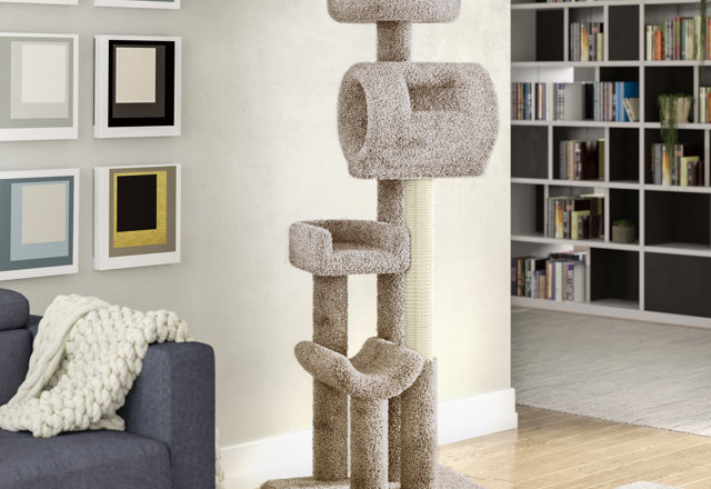 Budget-Friendly Cat Trees