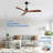 Nicola 52" 3 - Blade Standard Ceiling Fan with Remote Control-42910913