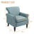 Iliana Traditional Upholstered Light Blue Cotton Blend Armchair with Nailhead Trim-1500613239