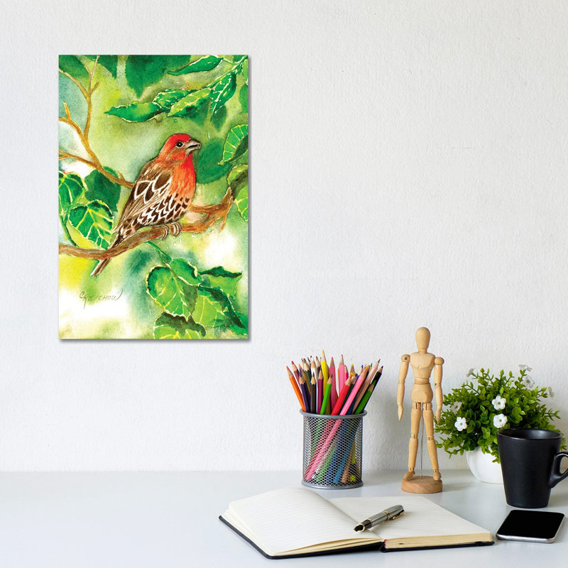 House Finch by Christine Reichow - Wrapped Canvas Gallery-Wrapped Canvas Giclée, 20.32 cm H x 30.48 cm W