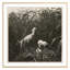 Coastal Birds 1 Print by THE Studio-967968412-967968413