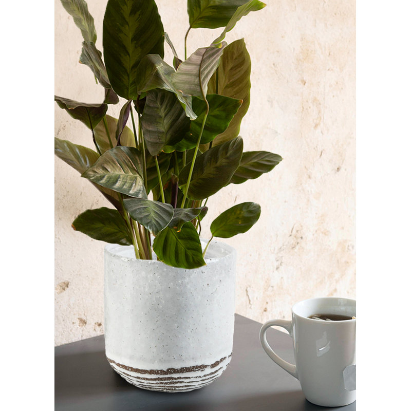 Ceramic Table Vase