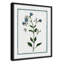 «Shabby Soft Shabby Elegance Botanical II» par Kelly Donovan, reproduction sur toile flottante-73279574-73279575