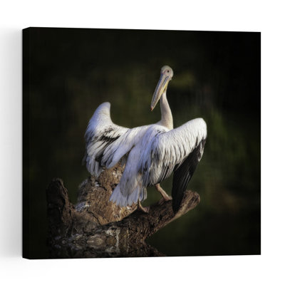 Majestic Pelican Display Elegant Abstract Contemporary Bird Pelican Nature Tree Wall Art Print 1 Piece Wrapped Canvas Wall Art