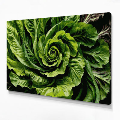 Vegetables Lettuce Romaine Green Canvas Wall Art