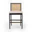 Antonia Cane Armless Counter & Bar Stool-1773133484-1810358599