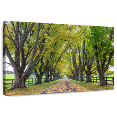 Harnek Country Lane Trees