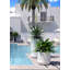 Lisle Pot Planter-228607738-228607741