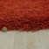 Beatty Solid Colour Shag Area Rug