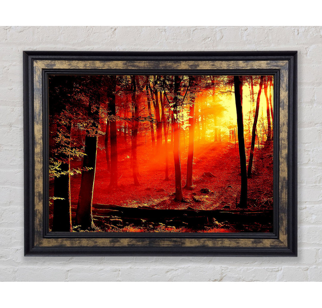 Red Woodland Beam - Einzelner Bilderrahmen Kunstdrucke