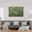Red-Eyed Tree Frog Colorful Delicate Vibrant Frog Nature Plant Wall Art Print 1 Piece Wrapped Canvas Wall Art-1524925267