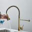 Belfry Kitchen Dejean Kitchen Faucet