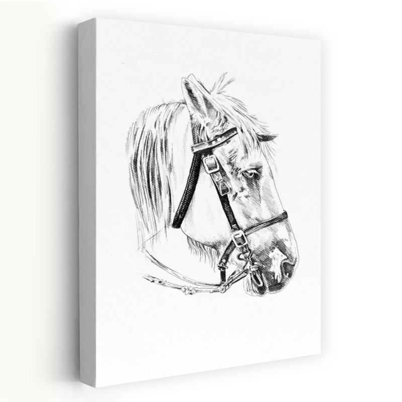 Tête de cheval noble, H 36 po x l 24 po