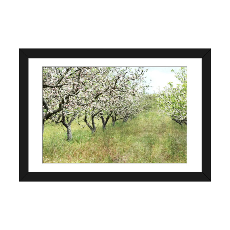 « apple verge », reproduction de photo sur toile, Papier d'art encadré noir, Blanc, H 16 po x l 24 po x P 1 po